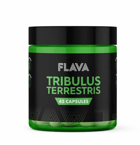 Flava Tribulus Terrestris